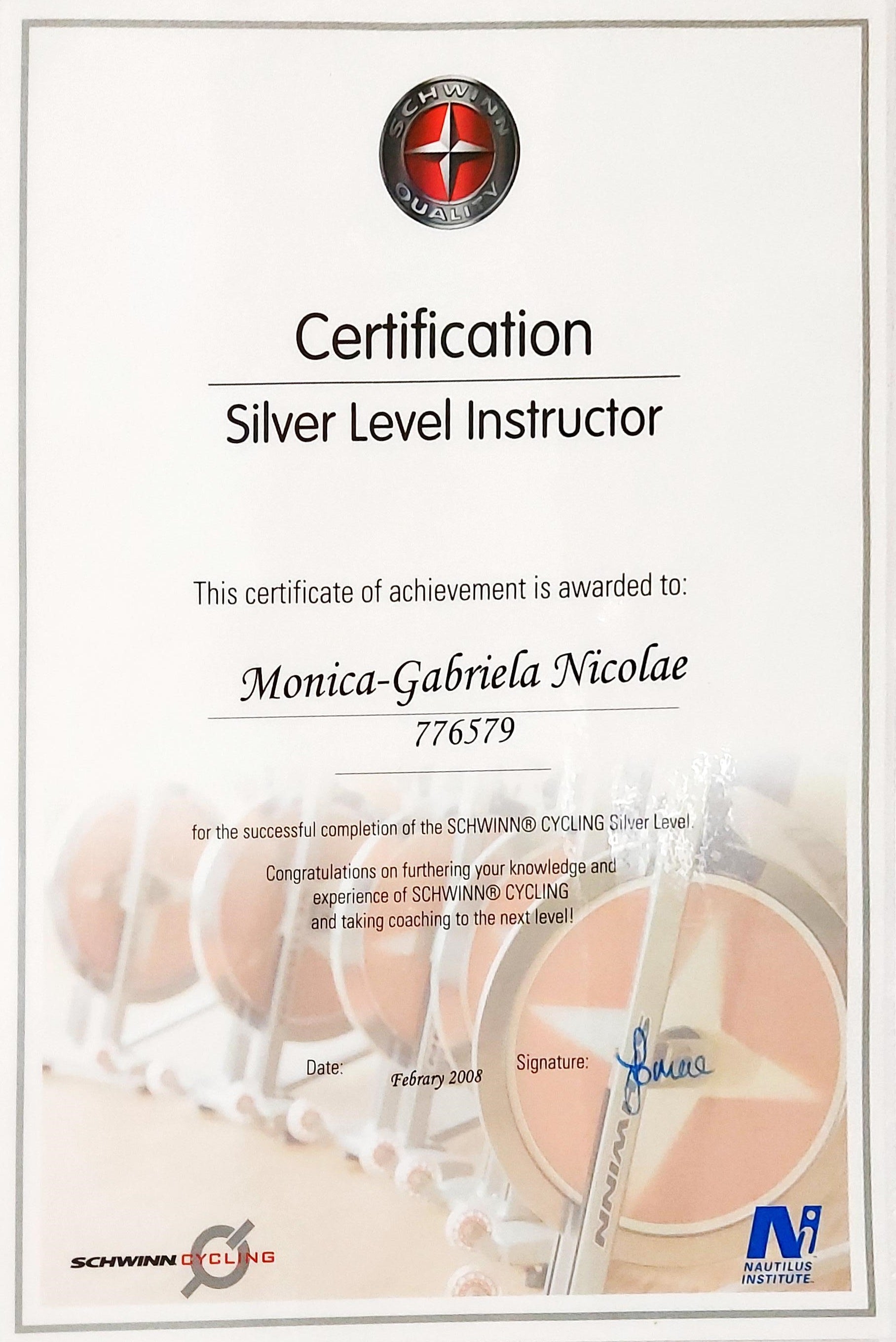 2008 Feb Schwinn Silver Level.jpg